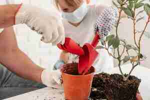 Free photo father and son planting together at home