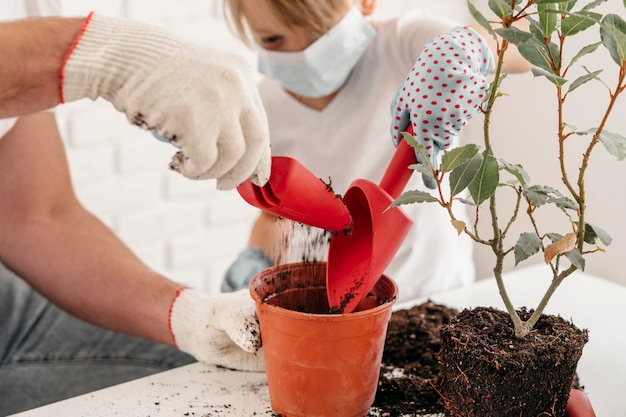 Father and son planting together at home