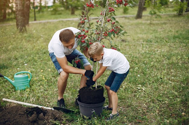 Father with little son are planting a tree on a yard