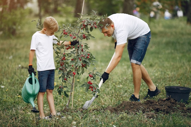 Foto gratuita il padre con il piccolo figlio sta piantando un albero su un'iarda