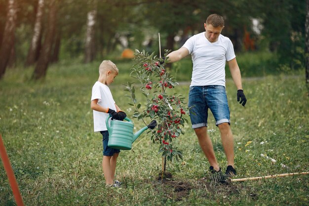 Father with little son are planting a tree on a yard