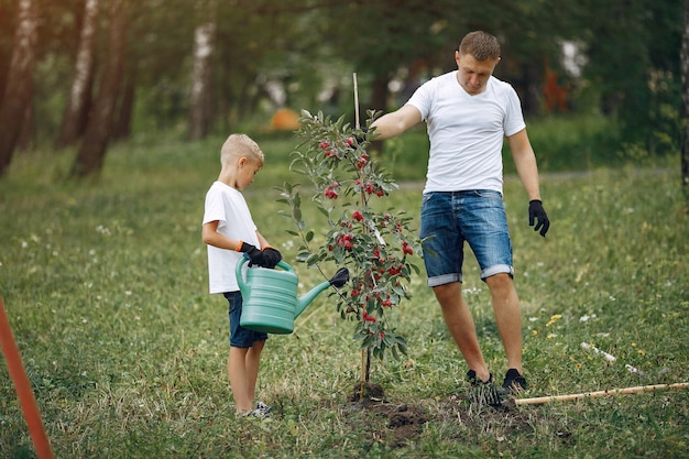 Father with little son are planting a tree on a yard