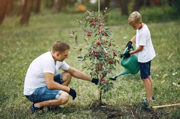 Father with little son are planting a tree on a yard