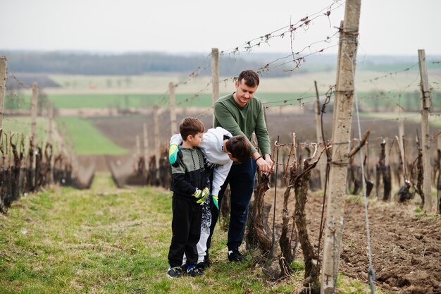 Father with two sons working on vineyard