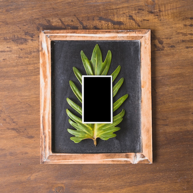 Free photo fathers day composition with instant photo on slate