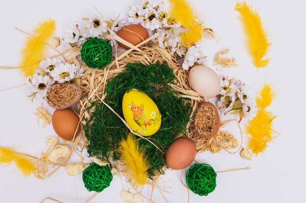 둥지 주변의 깃털과 계란