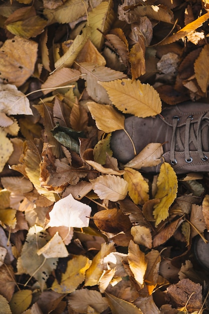 Feet on autumn leaves