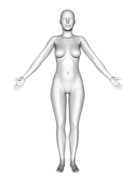 Female body