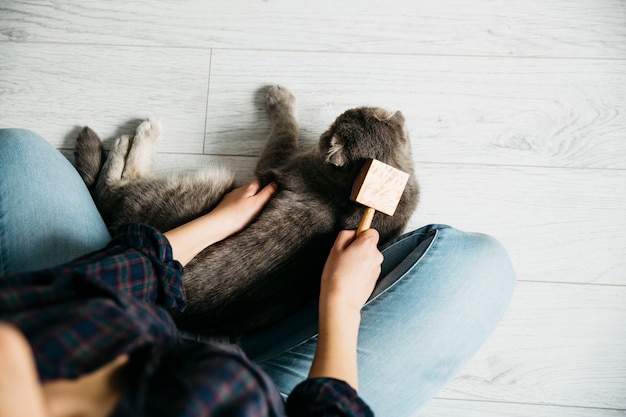 Femmina che si pettina il gatto preferito sul pavimento