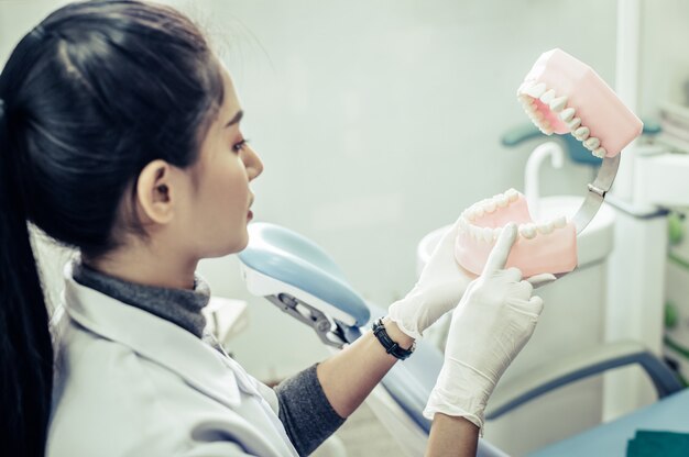 병원에서 환자에게 인공 치아를 설명하는 여성 치과 의사