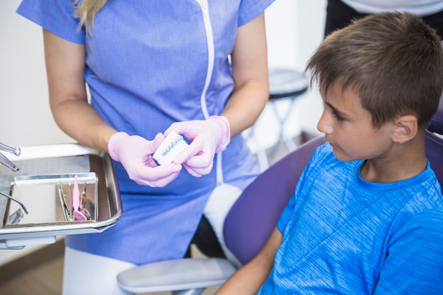 Foto gratuita la mano femminile del dentista che mostra i denti modella la muffa al ragazzo in clinica