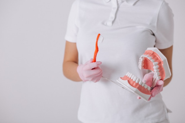 Female dentist with dentistry tools isolated