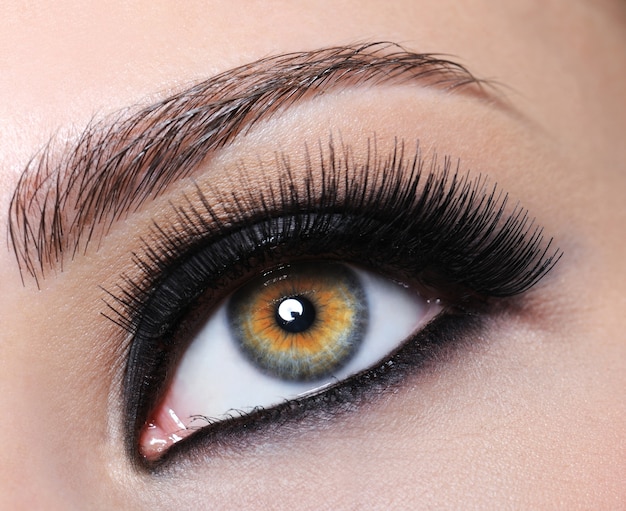 Free photo female eye with bright black make-up and long eyelashes