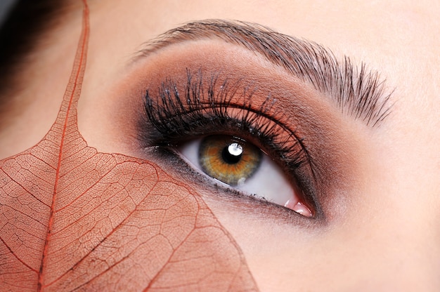 Female eye with brown bright make-up and leaf at face