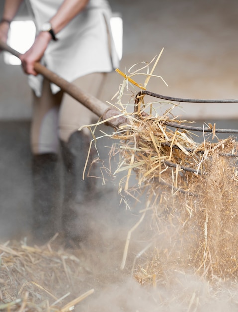 Foto gratuita coltivatore femminile che pulisce il fieno dalle stalle dei cavalli