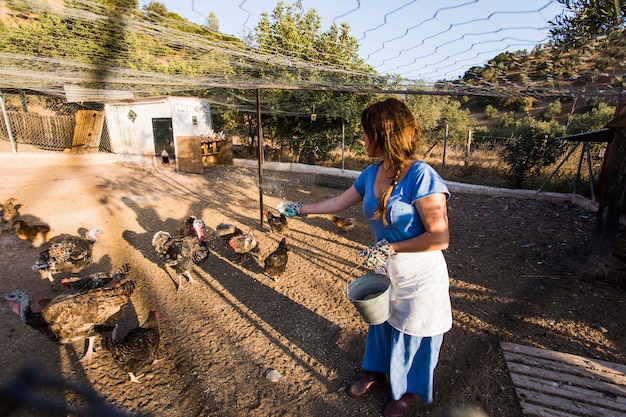 농장에서 닭을 먹이 여성 농부