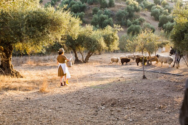 Female farmer herding sheeps in an olive orchard