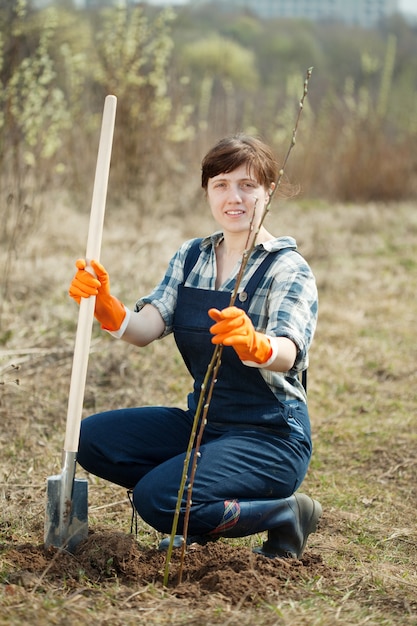 Free photo female farmer  planting  sprouts