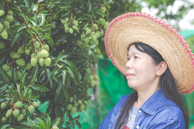 女性農家が庭でライチをチェックします。