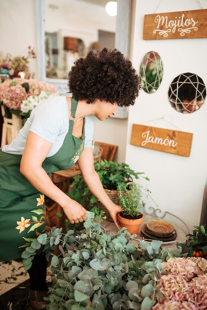 鉢植えの植物を並べる女性の花屋