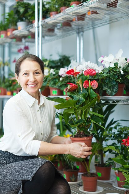 국화 식물을 가진 여성 꽃집