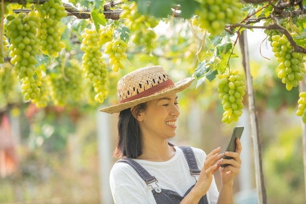 Женщина в саду с помощью мобильного телефона принимает заказы на свой виноград.