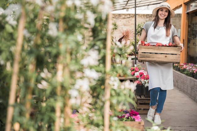 Female gardener holding begonia flowering wooden crate in the greenhouse