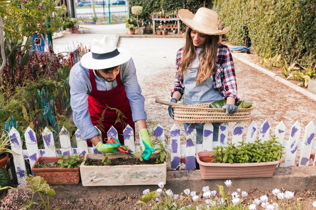 Female gardener looking at man pruning the plants with secateurs in the garden