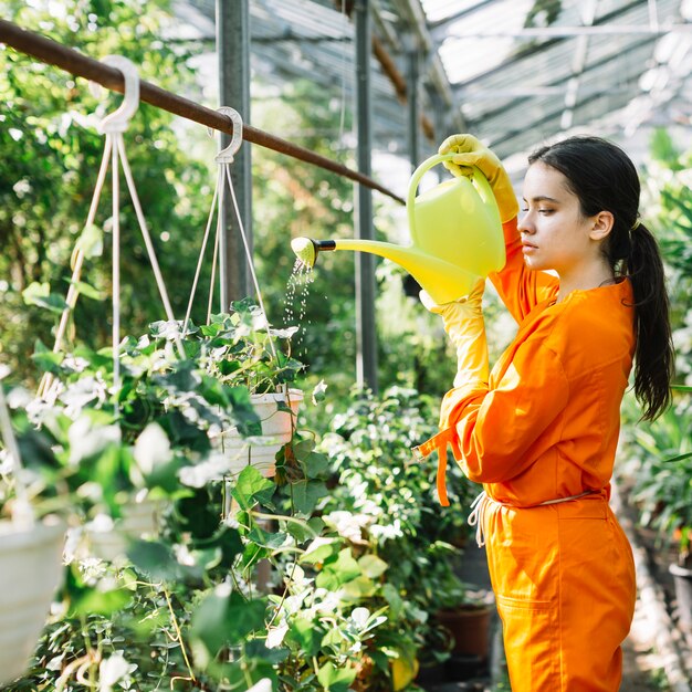 鉢植えに吊るして水を注ぐ女性の庭師