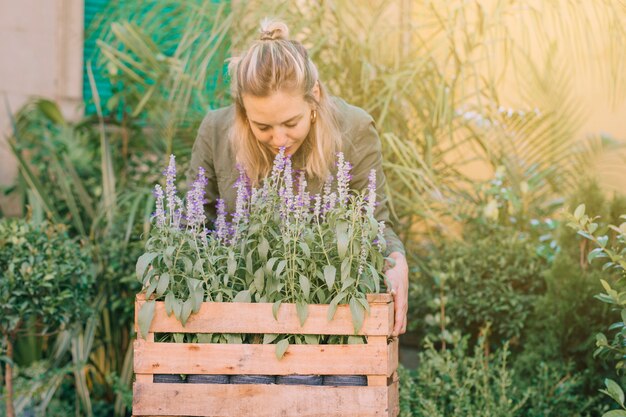 Female gardener smelling the lavender plants in the crate at plant nursery