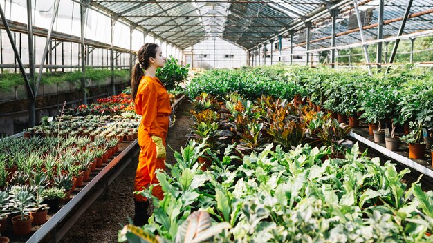 온실에서 자라는 식물 근처에 서있는 여성 정원사