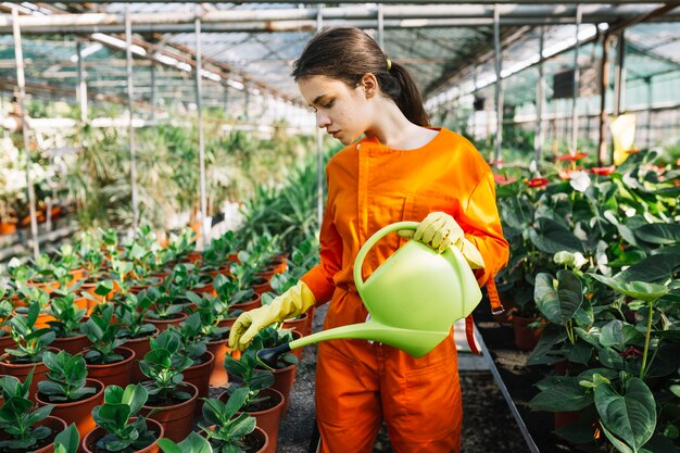 Женский садовник с поливом может осматривать растение в теплице