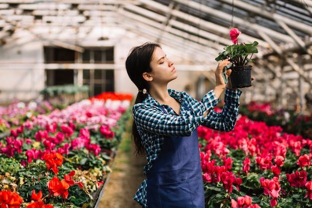 Free photo female gardener working in the greenhouse