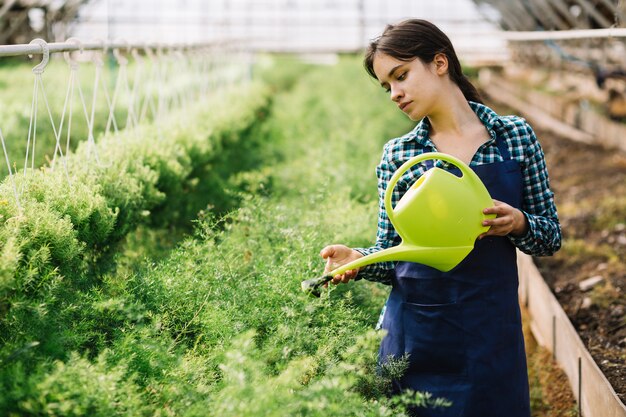 Female gardener working in the greenhouse