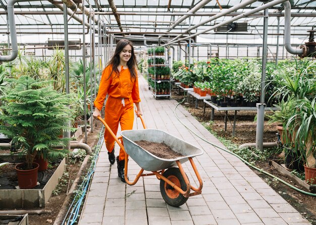Female gardener in workwear pushing wheelbarrow with soil in greenhouse