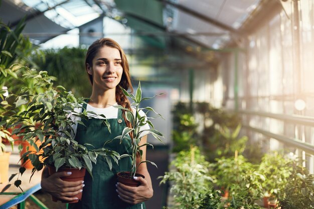 販売の準備ができている植物を保持している女性の温室店の従業員