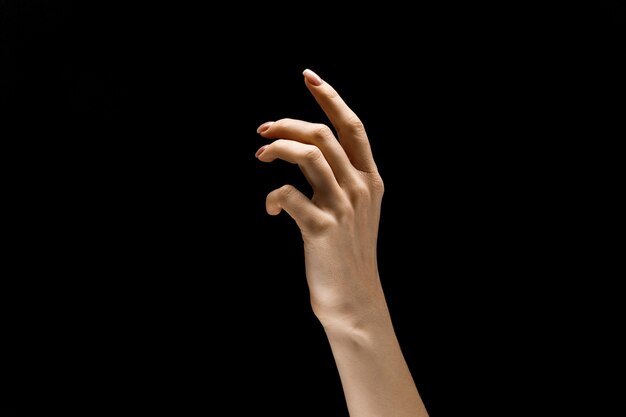검은 스튜디오 배경에 고립 된 터치를 얻는 제스처를 보여주는 여성 손. 인간의 감정, 감정, 생리학 또는 비즈니스의 개념.