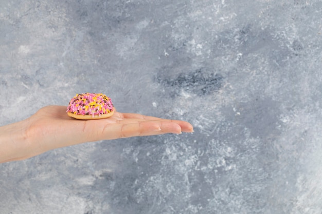 Female hand holding fresh cookie with colorful sprinkles on stone surface 