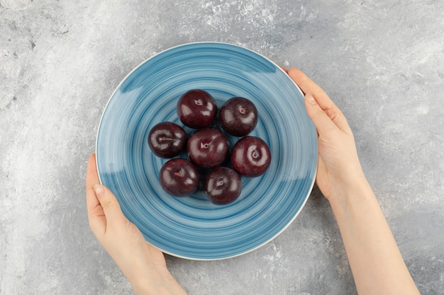 Female hand holding plate of fresh plums on marble surface. 