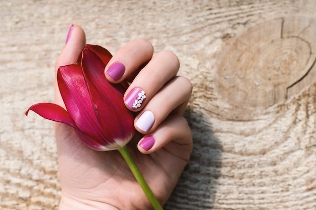 Mano femminile con il disegno viola del chiodo che tiene bello tulipano rosa.