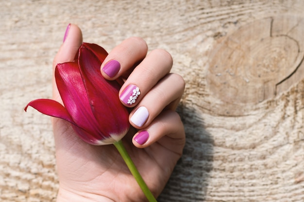 美しいピンクのチューリップを保持している紫色のネイルデザインの女性の手。
