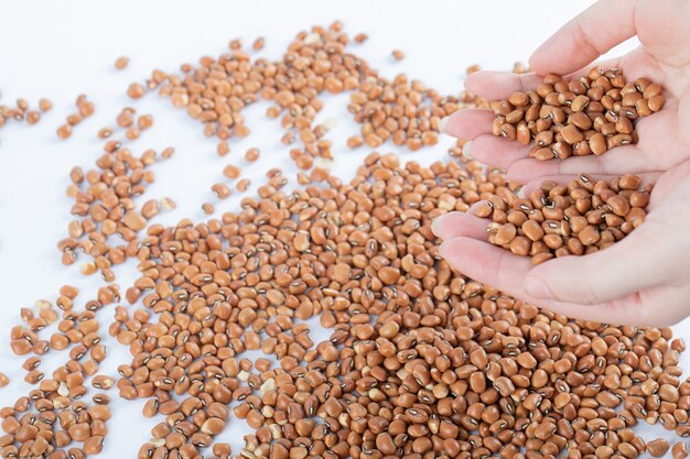 Female hands holding bunch of red beans on a white