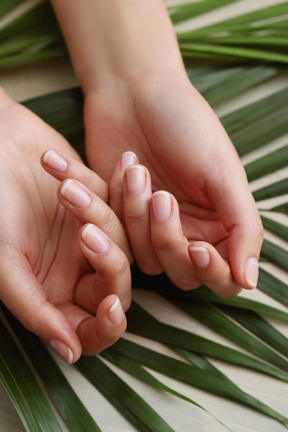 Female hands. Manicure concept