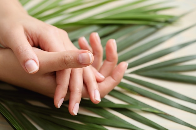 Foto gratuita mani femminili. concetto di cura e manicure della pelle