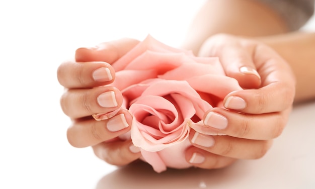 Female hands with pink rose. Femininity concept