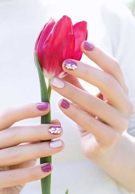 Женские руки с фиолетовым дизайном ногтя держа красивый розовый тюльпан.