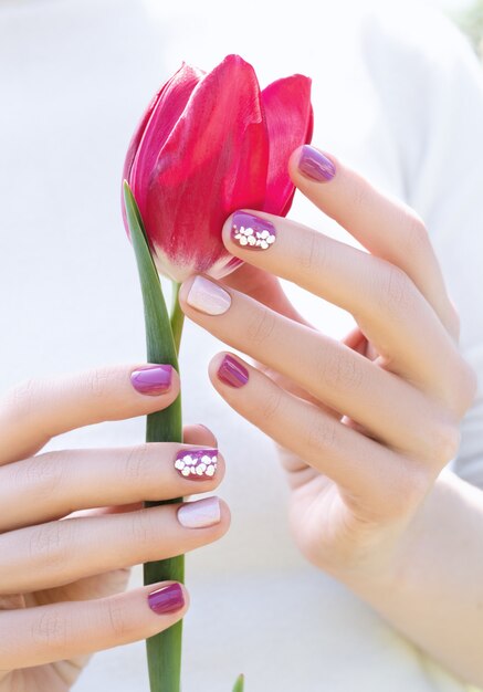 Female hands with purple nail design holding beautiful pink tulip.