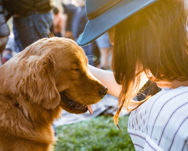 愛らしいかわいい茶色のレトリーバー犬をかわいがる帽子の女性