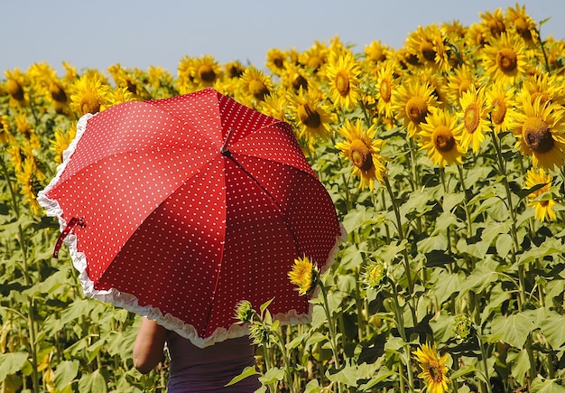 Foto gratuita femmina che tiene un ombrello rosso a portata di mano in un campo di girasoli