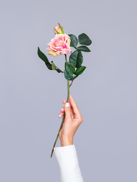 Бесплатное фото Женщина держит романтическую розу